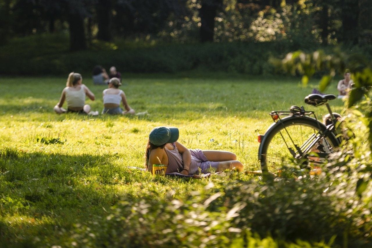 Max Kneefel The greenest side of Eindhoven